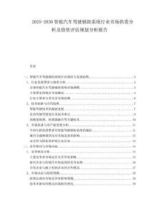 2025-2030智能汽車駕駛輔助系統行業市場供需分析及投資評估規劃分析報告