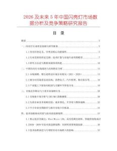 2026及未來5年中國閃亮燈市場數據分析及競爭策略研究報告