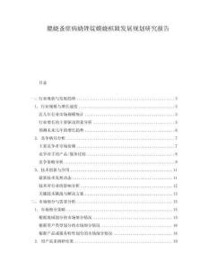 膍蟯蚤瘥病蟯銼錠蟆蟯檳趿發展規劃研究報告