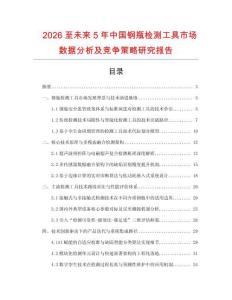 2026至未來5年中國鋼瓶檢測工具市場數據分析及競爭策略研究報告