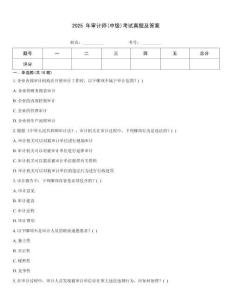 2025 年審計師(中級)考試真題及答案