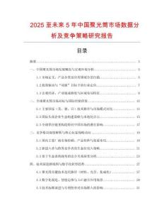 2025至未來5年中國聚光筒市場數據分析及競爭策略研究報告