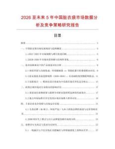 2026至未來5年中國臟衣袋市場數據分析及競爭策略研究報告