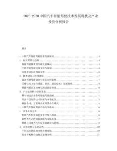 2025-2030中國汽車智能駕駛技術發展現狀及產業投資分析報告