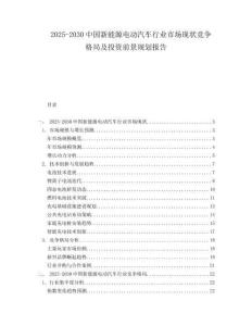 2025-2030中國新能源電動汽車行業市場現狀競爭格局及投資前景規劃報告
