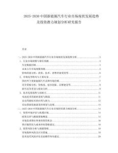 2025-2030中國新能源汽車行業市場現狀發展趨勢及投資潛力規劃分析研究報告