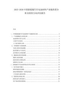 2025-2030中國(guó)新能源汽車電池材料產(chǎn)業(yè)鏈供需分析及投資方向評(píng)估報(bào)告