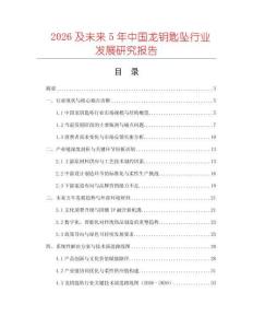 2026及未來5年中國龍鑰匙墜行業發展研究報告
