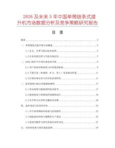 2026及未來5年中國單筒鏈條式提升機市場數據分析及競爭策略研究報告