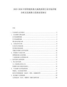 2025-2030中國智能機器人拖拽系統(tǒng)行業(yè)市場詳細分析及發(fā)展?jié)摿Πl(fā)展前景探討