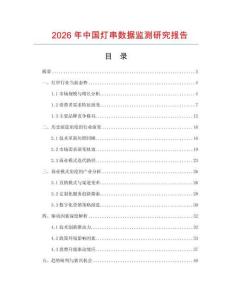 2026年中國燈串數據監測研究報告
