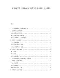 工業級無人機巡檢系統市場飽和度與增長機會報告