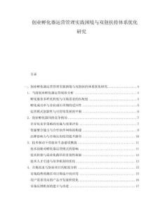 創(chuàng)業(yè)孵化器運(yùn)營(yíng)管理實(shí)踐困境與雙創(chuàng)扶持體系優(yōu)化研究