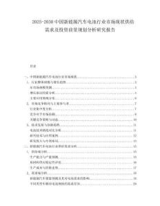 2025-2030中國新能源汽車電池行業(yè)市場現(xiàn)狀供給需求及投資前景規(guī)劃分析研究報告