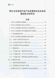 養生五谷飯團行業產業發展現狀及未來發展趨勢分析研究