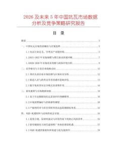 2026及未來5年中國坑瓦市場數據分析及競爭策略研究報告