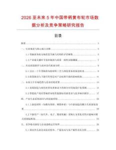 2026至未來5年中國帶柄黃布輪市場數(shù)據(jù)分析及競爭策略研究報(bào)告