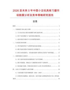 2026至未來5年中國小丑玩具練習器市場數據分析及競爭策略研究報告