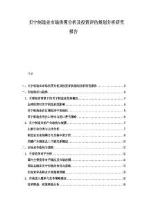 貝寧制造業(yè)市場供需分析及投資評估規(guī)劃分析研究報告