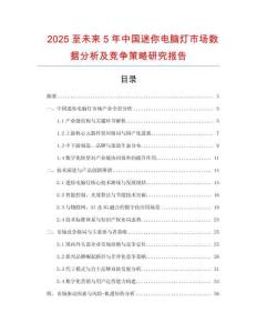 2025至未來5年中國迷你電腦燈市場數據分析及競爭策略研究報告