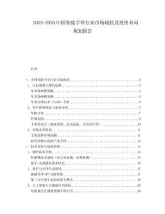 2025-2030中國智能手環行業市場現狀及投資布局規劃報告