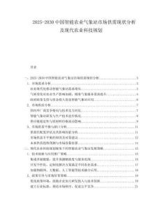 2025-2030中國智能農(nóng)業(yè)氣象站市場供需現(xiàn)狀分析及現(xiàn)代農(nóng)業(yè)科技規(guī)劃