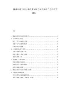 挪威海洋工程行業(yè)技術(shù)發(fā)展方向市場潛力分析研究報告