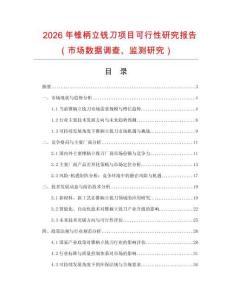 2026年錐柄立銑刀項(xiàng)目可行性研究報(bào)告（市場數(shù)據(jù)調(diào)查、監(jiān)測研究）