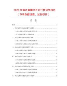 2026年斜邊匙圈項目可行性研究報告（市場數(shù)據(jù)調查、監(jiān)測研究）