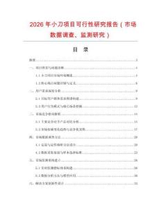 2026年小刀項目可行性研究報告（市場數(shù)據(jù)調(diào)查、監(jiān)測研究）
