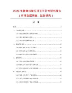 2026年鍵盤轉(zhuǎn)接頭項目可行性研究報告（市場數(shù)據(jù)調(diào)查、監(jiān)測研究）