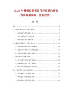 2026年鞋帽拉攀項目可行性研究報告（市場數(shù)據(jù)調(diào)查、監(jiān)測研究）