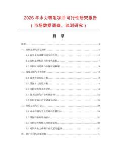2026年水力噴咀項目可行性研究報告（市場數(shù)據(jù)調查、監(jiān)測研究）