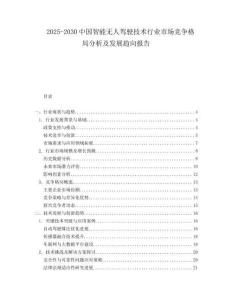 2025-2030中國智能無人駕駛技術行業市場競爭格局分析及發展趨向報告