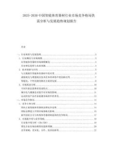 2025-2030中國智能體育器材行業市場競爭格局供需分析與發展趨勢規劃報告