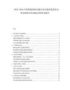 2025-2030中國智能智能交通行業市場需求供給分析及投資評估規劃分析研究報告