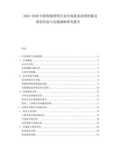 2025-2030中國智能照明行業市場需求深度挖掘及投資價值與實施策略研究報告