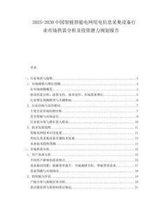 2025-2030中國智能智能電網用電信息采集設備行業市場供需分析及投資潛力規劃報告