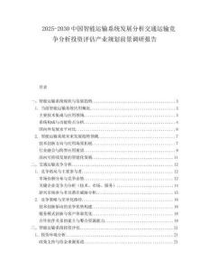 2025-2030中國智能運輸系統發展分析交通運輸競爭分析投資評估產業規劃前景調研報告