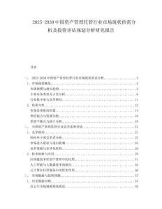2025-2030中國資產管理托管行業市場現狀供需分析及投資評估規劃分析研究報告