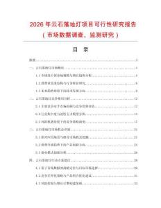 2026年云石落地燈項目可行性研究報告（市場數據調查、監測研究）