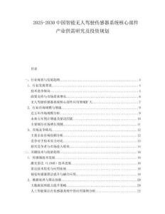 2025-2030中國智能無人駕駛傳感器系統核心部件產業供需研究及投資規劃