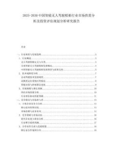 2025-2030中國智能無人駕駛船舶行業市場供需分析及投資評估規劃分析研究報告