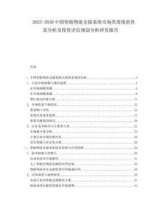 2025-2030中國智能物流倉儲系統市場供需現狀供需分析及投資評估規劃分析研究報告