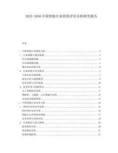 2025-2030中國(guó)智能行業(yè)投資評(píng)估分析研究報(bào)告