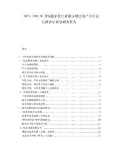 2025-2030中國(guó)智能手機(jī)行業(yè)市場(chǎng)現(xiàn)狀用戶分析及發(fā)展評(píng)估規(guī)劃研究報(bào)告