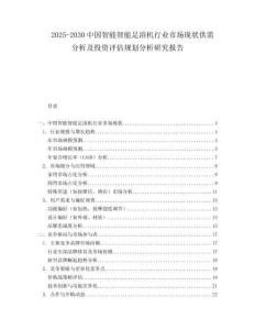 2025-2030中國智能智能足浴機行業市場現狀供需分析及投資評估規劃分析研究報告
