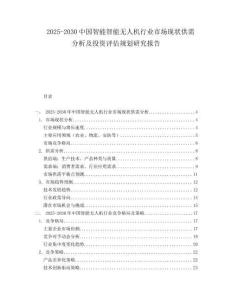2025-2030中國智能智能無人機行業市場現狀供需分析及投資評估規劃研究報告