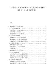 2025-2030中國智能水務行業市場發展趨勢分析及投資機會規劃分析研究報告