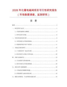 2026年化霜電磁閥項目可行性研究報告（市場數據調查、監測研究）